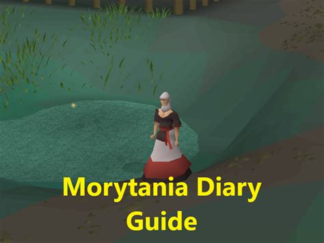 achivement diaries osrs|osrs achievement diaries guide.